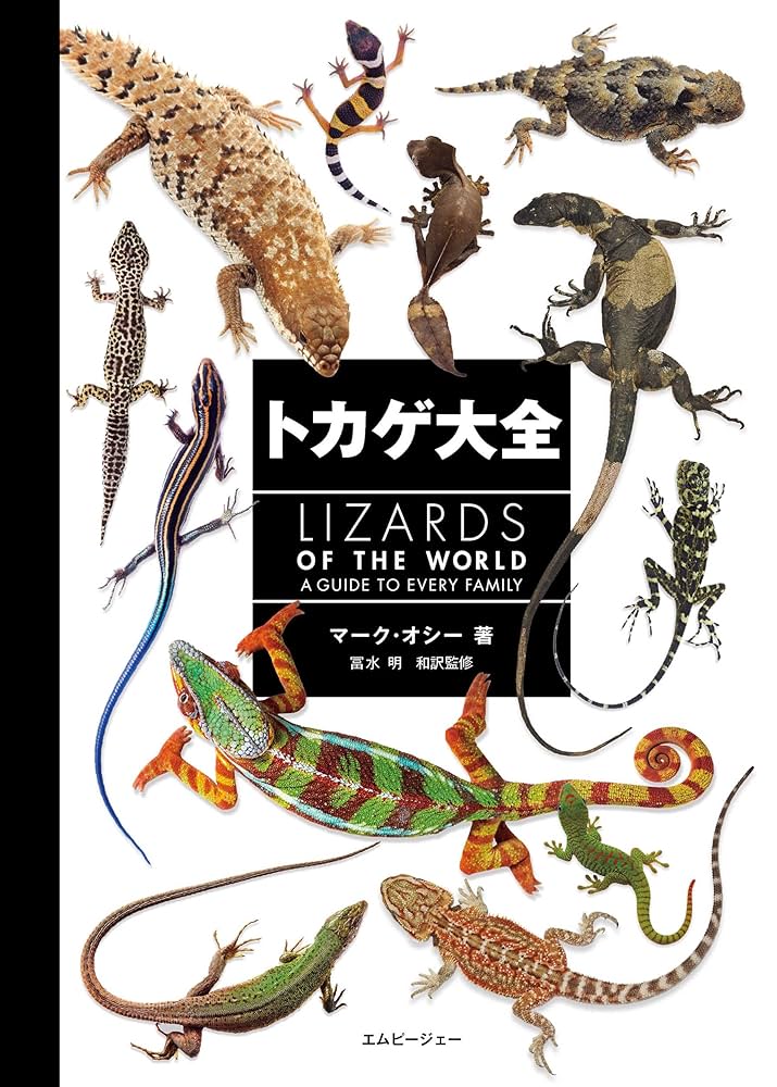 爬虫類 トカゲの生態学 参考書「Lizard Ecology」 日本のいきものビジュアルガイド はっけん！ トカゲ | 関 慎太郎